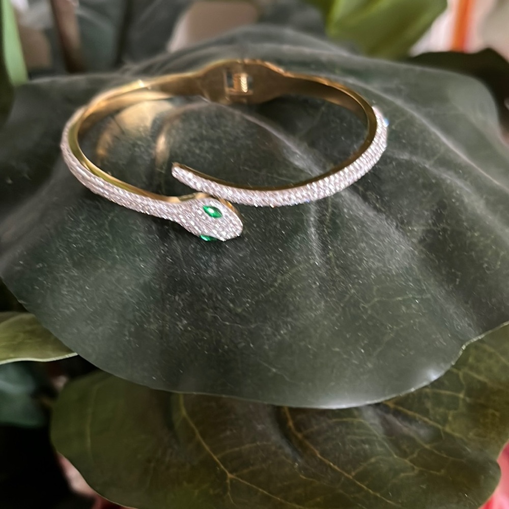 Snake bracelet